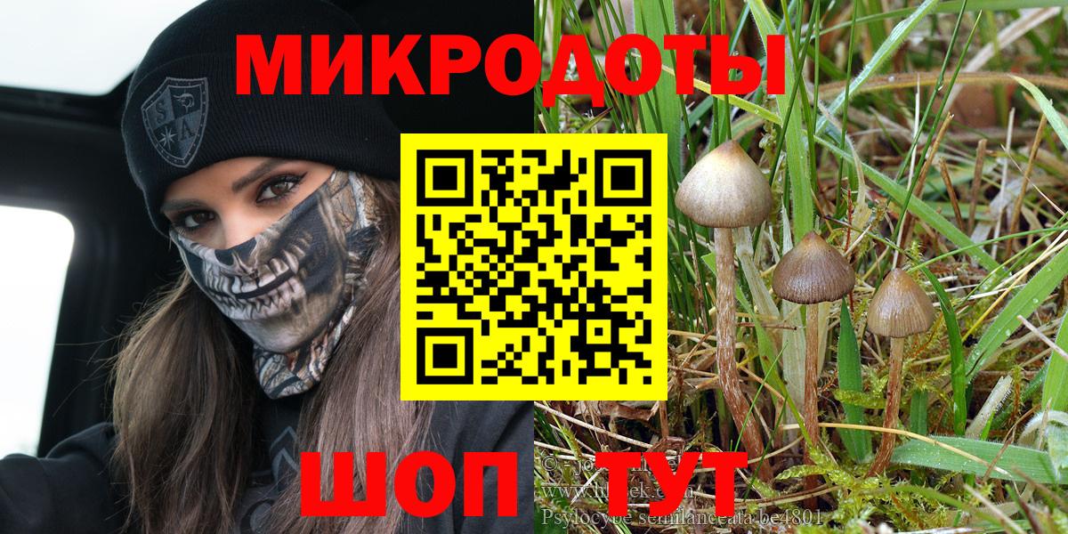 Галлюциногенные грибы Psilocybine cubensis  Псилоцибиновые грибы MAGIC MUSHROOMS  Усинск  Вход с VPN 